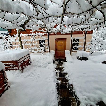 Vineyard Cottage Matej Trebnje Exteriér fotografie