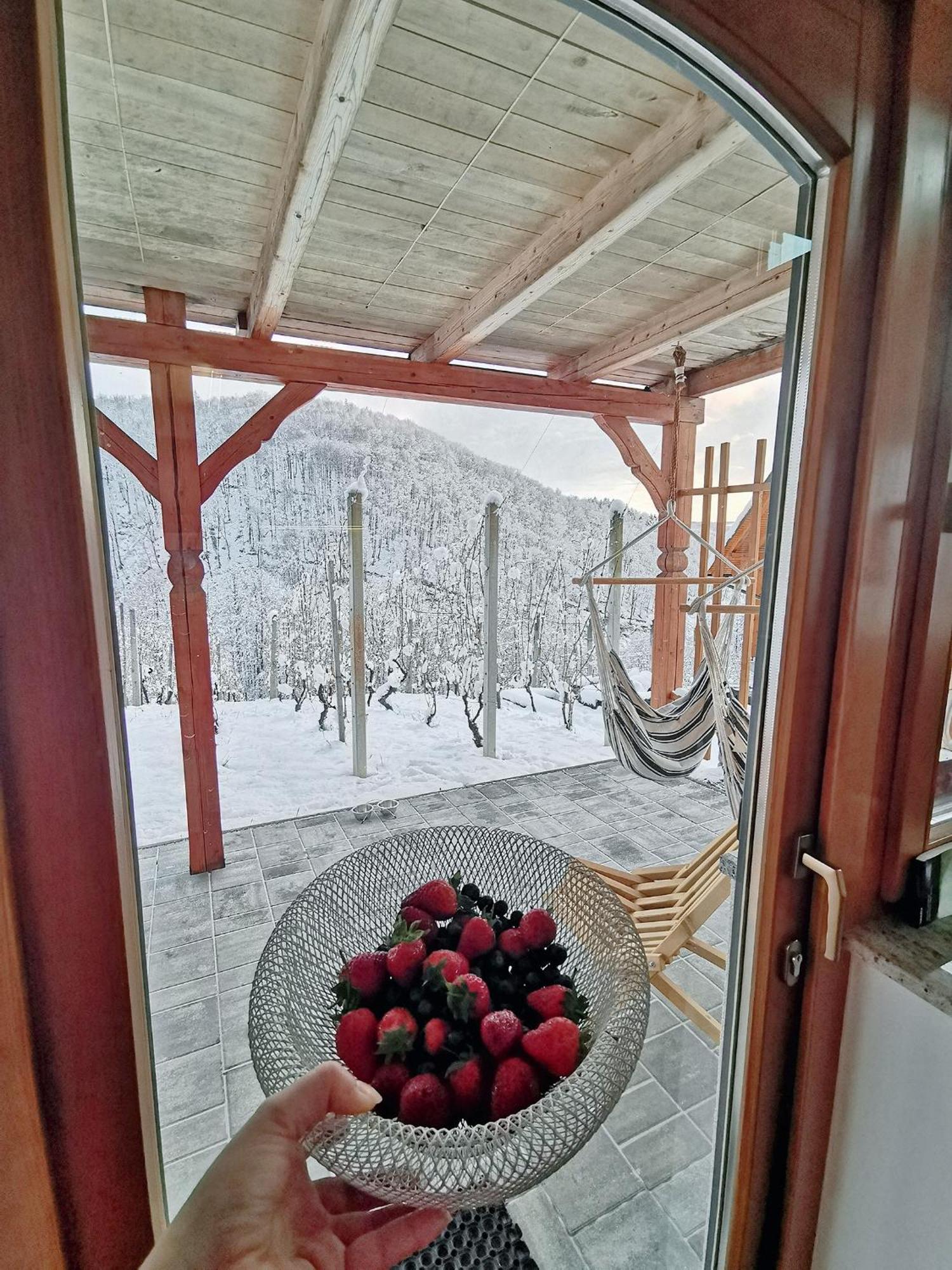 Vineyard Cottage Matej Trebnje Exteriér fotografie